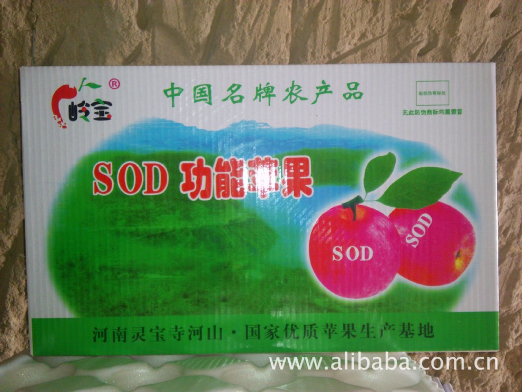 高山果園的饋贈 綠色無公害紅富士蘋果，品質與健康的承諾